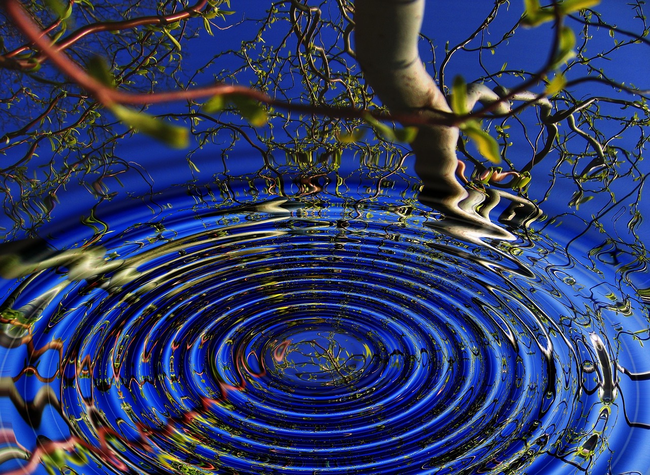 The Philosophy behind Transcendentalism: An Overview